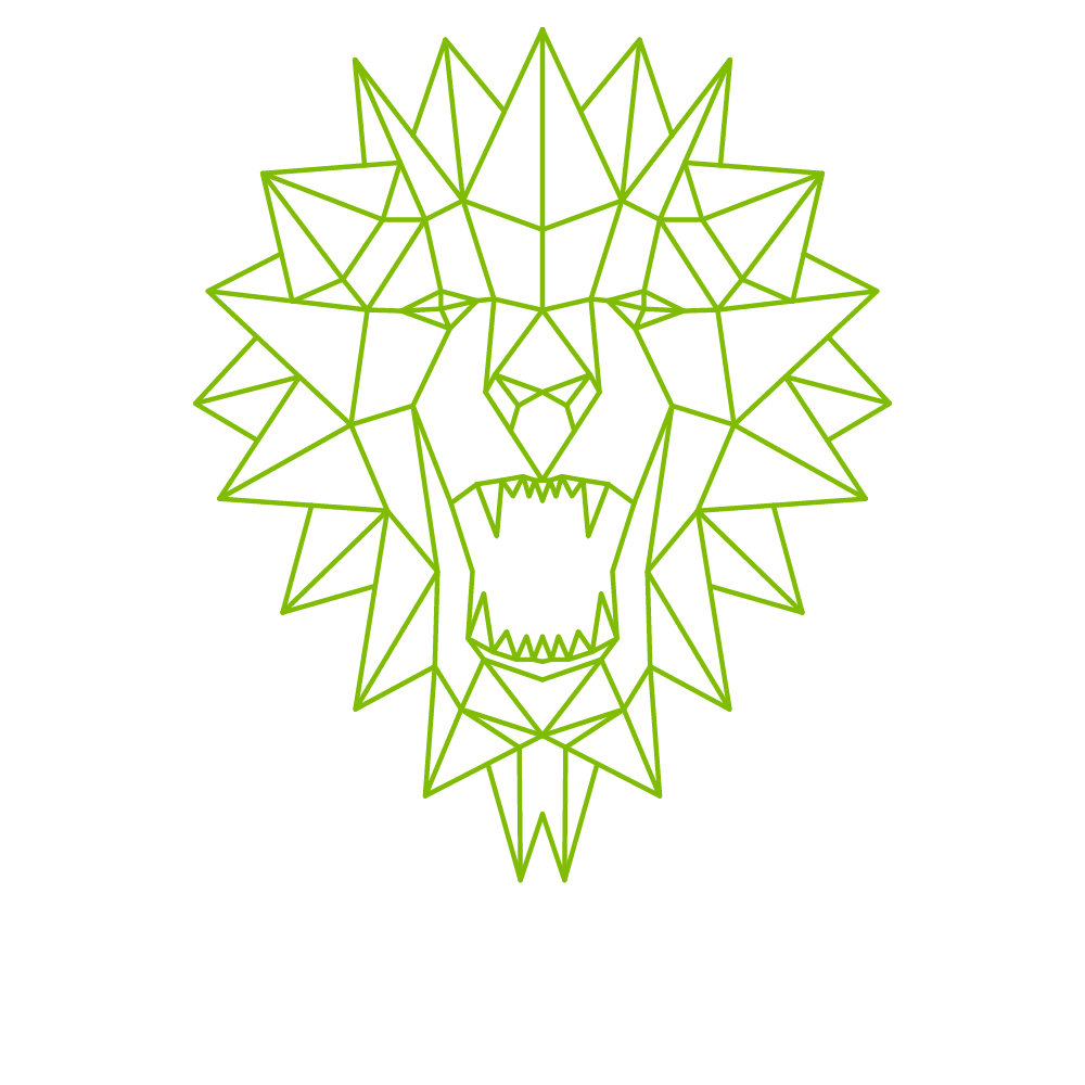 Roaring Estudio